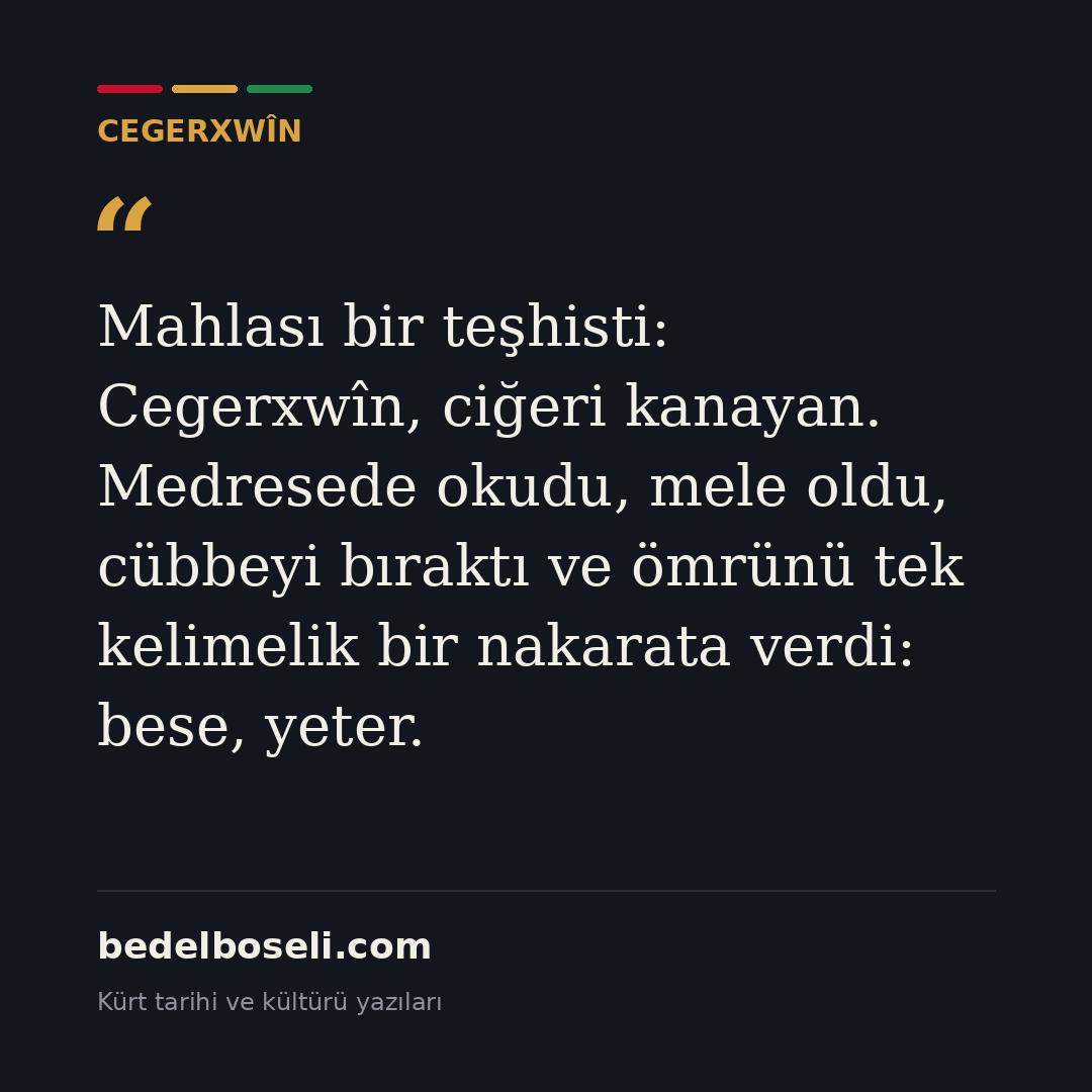 cegerxwin-surgunun-sairi paylaşım kartı 2