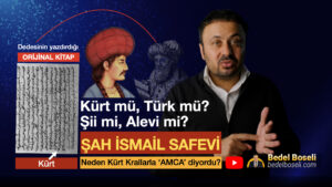 Şah İsmail Safevi, Kürt mü, Türk mü, Arap.mı?